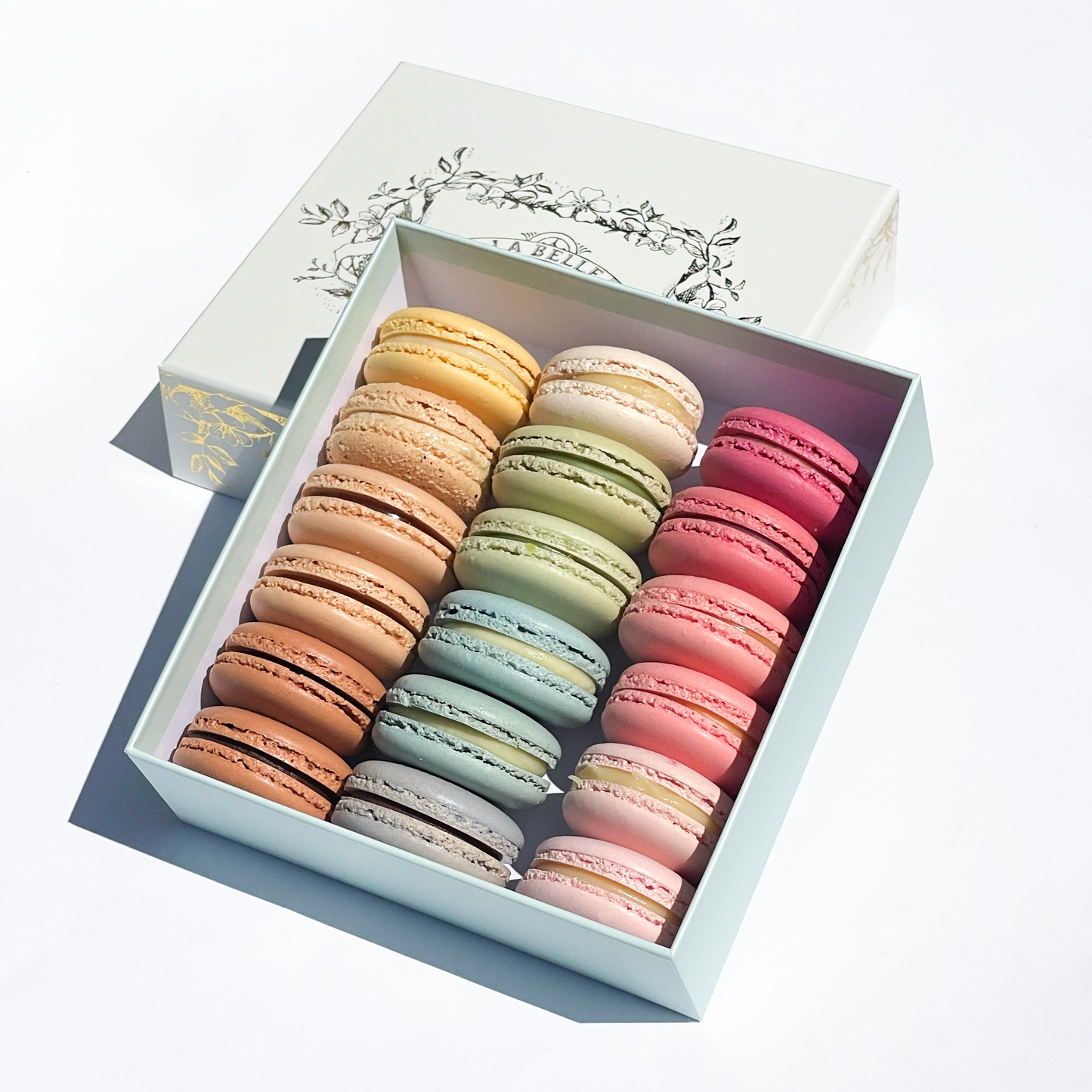 Assorted Macarons