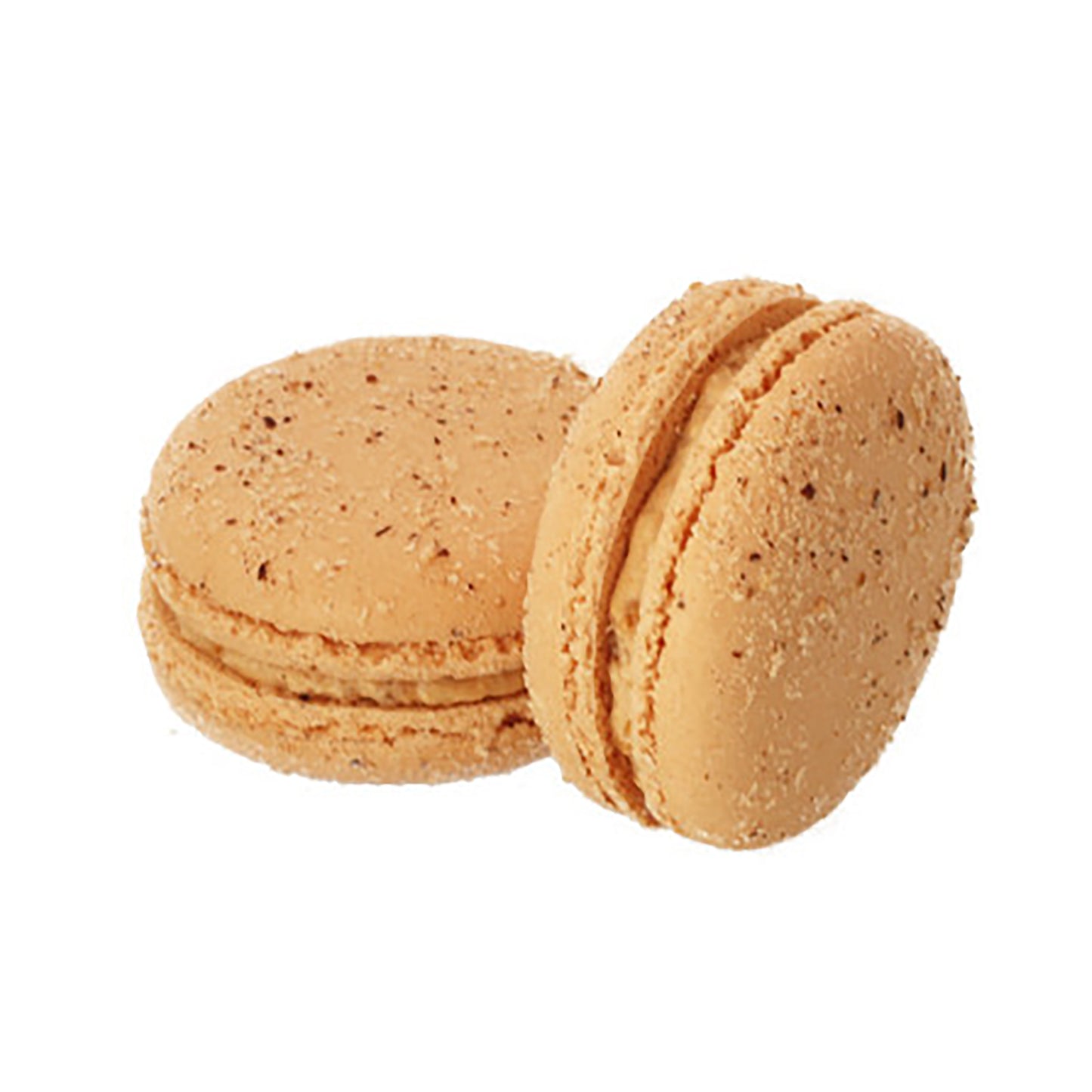 Hazelnut Praline