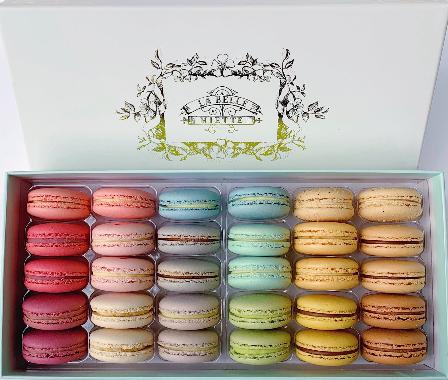 Assorted Macarons